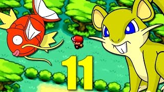 Nuzlocke Rattata Challenge 11  LAcier le Sang et lEnfer [upl. by Nylrahs]