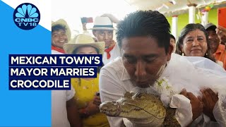 WATCH  Mexican Towns Mayor Marries Crocodile  CNBCTV18 [upl. by Gudrin]