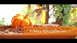 Schöne Herbstferien [upl. by Jorrie]