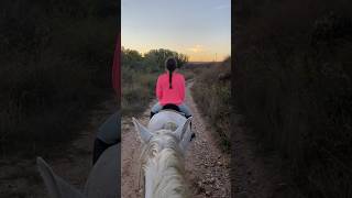 De ruta con caballos y sin embocadura te cuento por qué 🌼 🍄🐴 caballos horse shorts nature [upl. by Sherwin247]