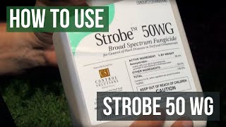 Strobe 50 WG Fungicide Azoxystrobin How To Use [upl. by Danielle]