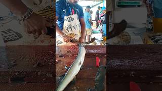 Unbelievable fish cutting skill  Amazing fish cutting skill 😱 shorts fish [upl. by Ludlew762]