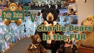 Charlie Bears in the Fur [upl. by Opal]