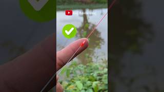 Strong Smooth Fishing Knot for Braid to Mono or Fluorocarbon Leader fishing fishingknot tutorial [upl. by Burris213]