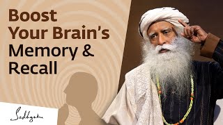 Learn How To Improve Your Brain’s Memory amp Recall  Sadhguru Exclusive [upl. by Kohl]