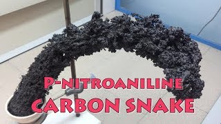 pnitroaniline superfast decomposition big carbon snake [upl. by Kinom]