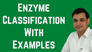 Classification of enzymes  Major classes of enzymes and their examples [upl. by Aleksandr]