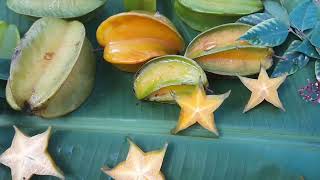 Amazing health benefits of Star fruit herbalgoldrush [upl. by Roane53]