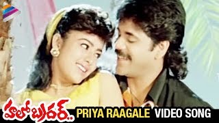 Hello Brother Movie Songs  Priya Raagale Video Song  Nagarjuna  Ramya Krishna  Soundarya [upl. by Gwenni]