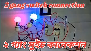 How to Wire a 2 Gang Switch  Two Gang Switch Connection [upl. by Tiffi602]