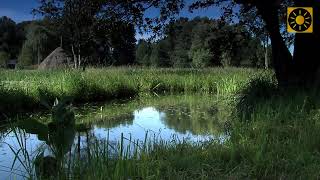 SPREEWALD  das quotknackig  grüne Spreeparadiesquot Teil 3 LübbenSchlepzigSpreewälder Gurken [upl. by Charo652]