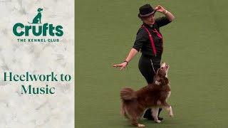 Heelwork To Music Part 2  Crufts 2024 [upl. by Anelas]