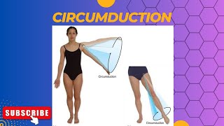 Circumduction anatomy [upl. by Anjela326]