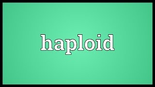 Haploid Meaning [upl. by Kuth]