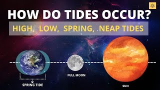 How Do Tides Occur Low tide High Tide Spring Tide Neap Tide [upl. by Alamac868]