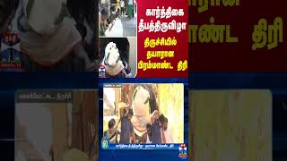 கார்த்திகை தீபத்திருவிழா  தயாரான பிரம்மாண்ட திரி  Trichy  Malaikottai  ThanthiTV [upl. by Ecnaled]