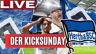 HSV 11 Hertha BSC HSV verschenkt 3 Punkte  HSV News  2Spieltag 2Liga  Der KICKSUNDAY [upl. by Jem875]