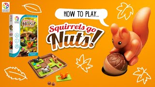 How to play Squirrels Go Nuts  SmartGames [upl. by Yebot764]