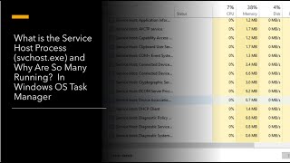 What Is the Service Host Process svchostexe and Why Are So Many Running [upl. by Constantia]