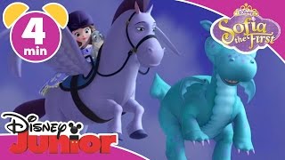 Magical Moments  Sofia the First Crackle The Dragon  Disney Junior UK [upl. by Mariana260]