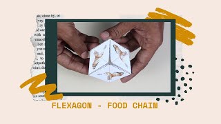 Flexagon  Food Chain  ThinkTac [upl. by Mosira]