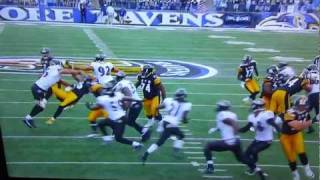 Hines Ward Gets Decked [upl. by Pheni523]