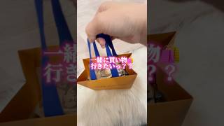 財布に入らないからショッパーで買い物するのが日課🛍️もちろんニコニコ現金払いだよ✌️❤️ホストもニコニコ現金払いが好かれるよね☺️✨買い物 お買い物 ハイブランド ルイヴィトン [upl. by Phi]