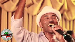 Best of Muktar Usman Oromo Music Collection [upl. by Tica]