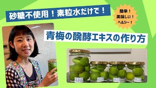 素粒水だけで作る醗酵エキスの作り方（青梅）2024年6月6日撮影（2分間バージョン） [upl. by Kho]