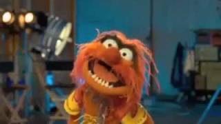 Animal  The Muppets  quotMahna Mahnaquot [upl. by Anilak]