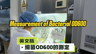 Measurement of Bacterial OD600 [upl. by Drarig]