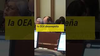 Resumen LA CREACION DE LA OEA [upl. by Allicerp42]