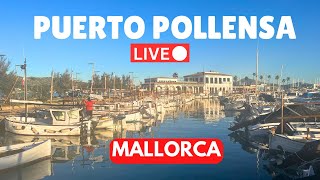 🔴LIVE in Puerto Pollensa Majorca Mallorca  4 February 2024 [upl. by Issiah714]