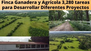 Finca 3280 Tareas Ganadera y Agrícola para Desarrollar Diferentes Proyectos en Monte Plata Rep Dom [upl. by Eireva]