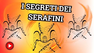 I Segreti dei Serafini Esperienze e Rivelazioni [upl. by Inalaehak]