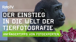 Tiere fotografieren für Anfänger  die 3 besten Tipps 🐶 FotoTV [upl. by Antony]