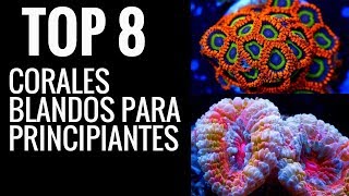 TOP 8 corales blandos para principiantes  ACUARIO DE AGUA SALADA [upl. by Adilem]