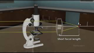 WORKING OF COMPOUND MICROSCOPEanimation [upl. by Anihpled]