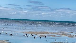 Australia’s Hobsons Bay Beach [upl. by Rey498]