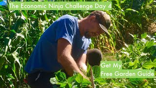 Economic Ninja Challenge Day 4  Get My Free Garden Guide [upl. by Venetis143]