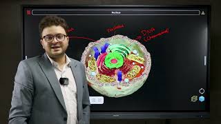 IGCSE Biology Lesson 1 Free session  الحصه المجانيه [upl. by Laden]