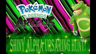 Pokemon Legends Arceus Shiny Alpha Ursaring Hunt [upl. by Rolecnahc492]