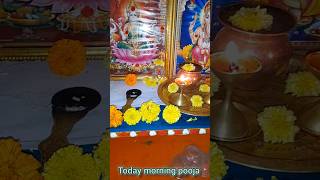 Today ma inti pooja 🙏🏼🙏🏼Happy Diwali to All 🎆 [upl. by Nerag208]