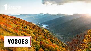 Les Vosges  Cimes et Vallées Verdoyantes  Les 100 lieux quil faut voir  Documentaire complet MG [upl. by Attah]