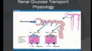 Endocrinology Pearls Dr Rami Almokayyad 43014 [upl. by Andrea]