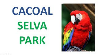 CACOAL SELVA PARK  CACOAL  RO [upl. by Devina]