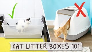 The Best Cat Litter Box Set Up  All About Litter Boxes [upl. by Claud]