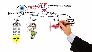 Pharmacology  ANTICHOLINERGIC amp NEUROMUSCULAR BLOCKING AGENTS MADE EASY [upl. by Jerroll]