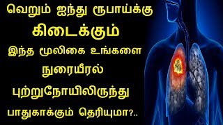 Amazing Purslane nutrition facts and health benefits in Tamil  Rahul Lungs Health tips in Tamil [upl. by Puna230]