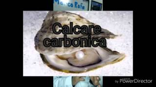 Calcarea carbonica homeopatia [upl. by Haral]